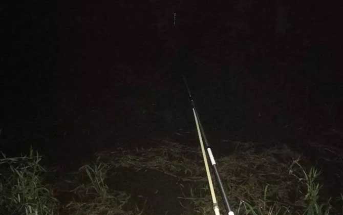 详细阅读:夜钓(夜钓深水还是浅水) 夜钓(夜钓深水还是浅水)